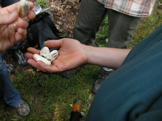 053-DSCN7378.JPG.medium.jpeg