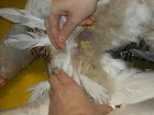 003-DSCN1250.jpg.small.jpeg