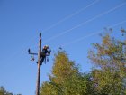 021-IMG_3579.JPG.small.jpeg
