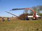 032-IMG_3618.JPG.small.jpeg