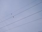003-IMG_6483.jpg.small.jpeg