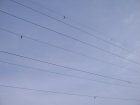 005-IMG_6485.jpg.small.jpeg