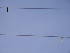 008-IMG_6488.jpg.small.jpeg