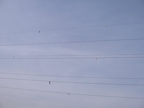 012-IMG_6492.jpg.medium.jpeg