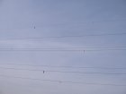 012-IMG_6492.jpg.small.jpeg