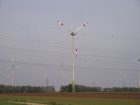 018-IMG_6498.jpg.small.jpeg