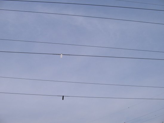 026-IMG_6506.jpg.medium.jpeg