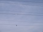 026-IMG_6506.jpg.small.jpeg