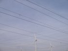 027-IMG_6507.jpg.small.jpeg