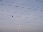028-IMG_6508.jpg.small.jpeg