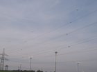 064-IMG_6549.jpg.small.jpeg