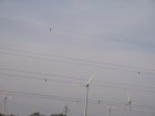 066-IMG_6551.jpg.small.jpeg