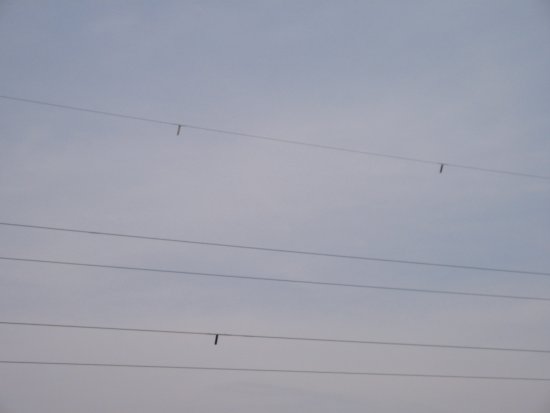 068-IMG_6553.jpg.medium.jpeg