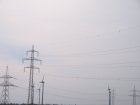 069-IMG_6554.jpg.small.jpeg