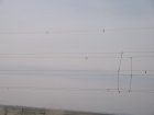 070-IMG_6556.jpg.small.jpeg