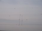 072-IMG_6558.jpg.small.jpeg