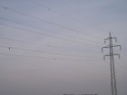 074-IMG_6561.jpg.small.jpeg