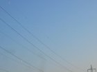 018-IMG_0127.JPG.small.jpeg