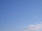 002-IMG_6151.jpg.small.jpeg