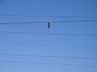 004-IMG_6153.jpg.small.jpeg