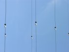 013-DSCN5234.JPG.small.jpeg