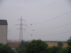 002-IMG_2513.jpg.small.jpeg