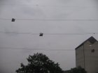 008-IMG_2524.jpg.small.jpeg