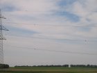 014-IMG_2771.jpg.small.jpeg