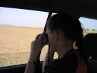 006-IMG_6121.jpg.small.jpeg
