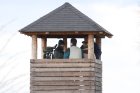 009-IMG_6636.jpg.small.jpeg