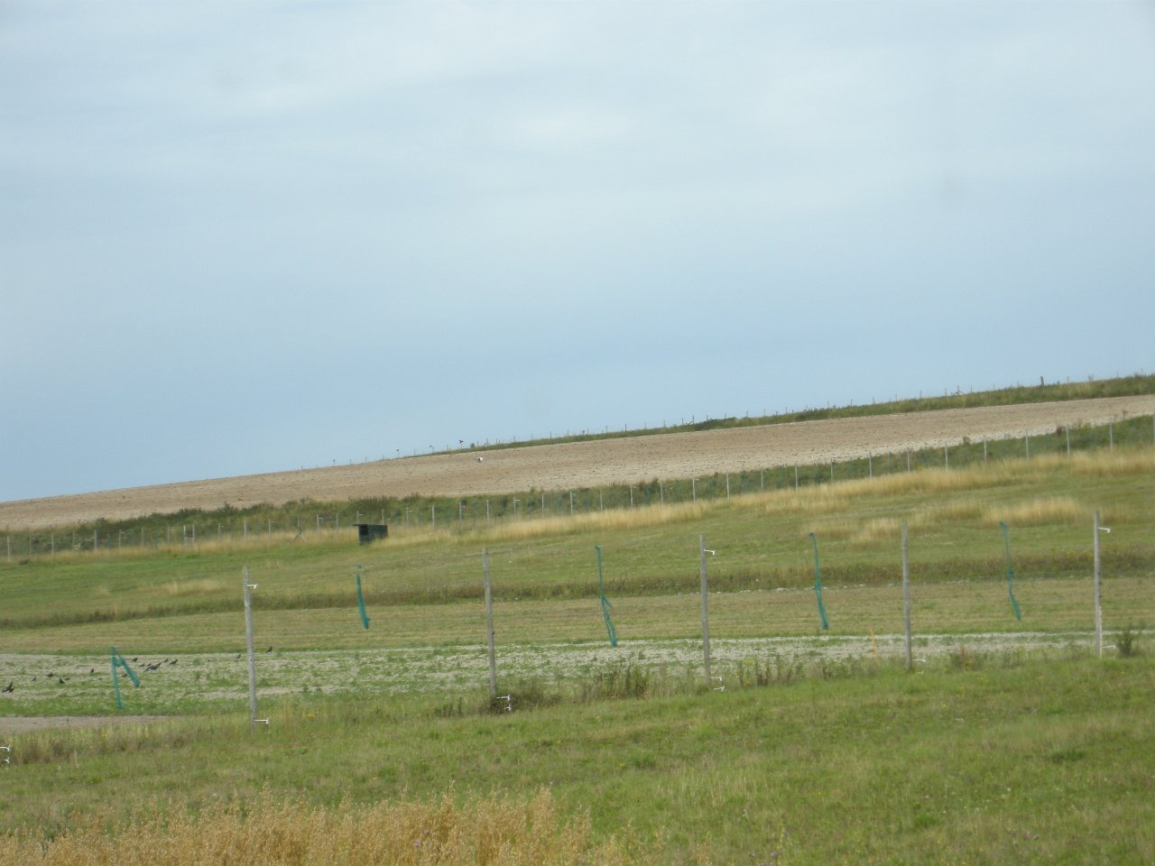 DSCN2286