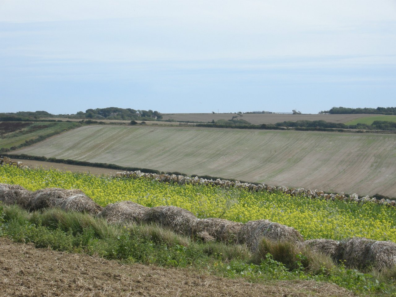 DSCN3360