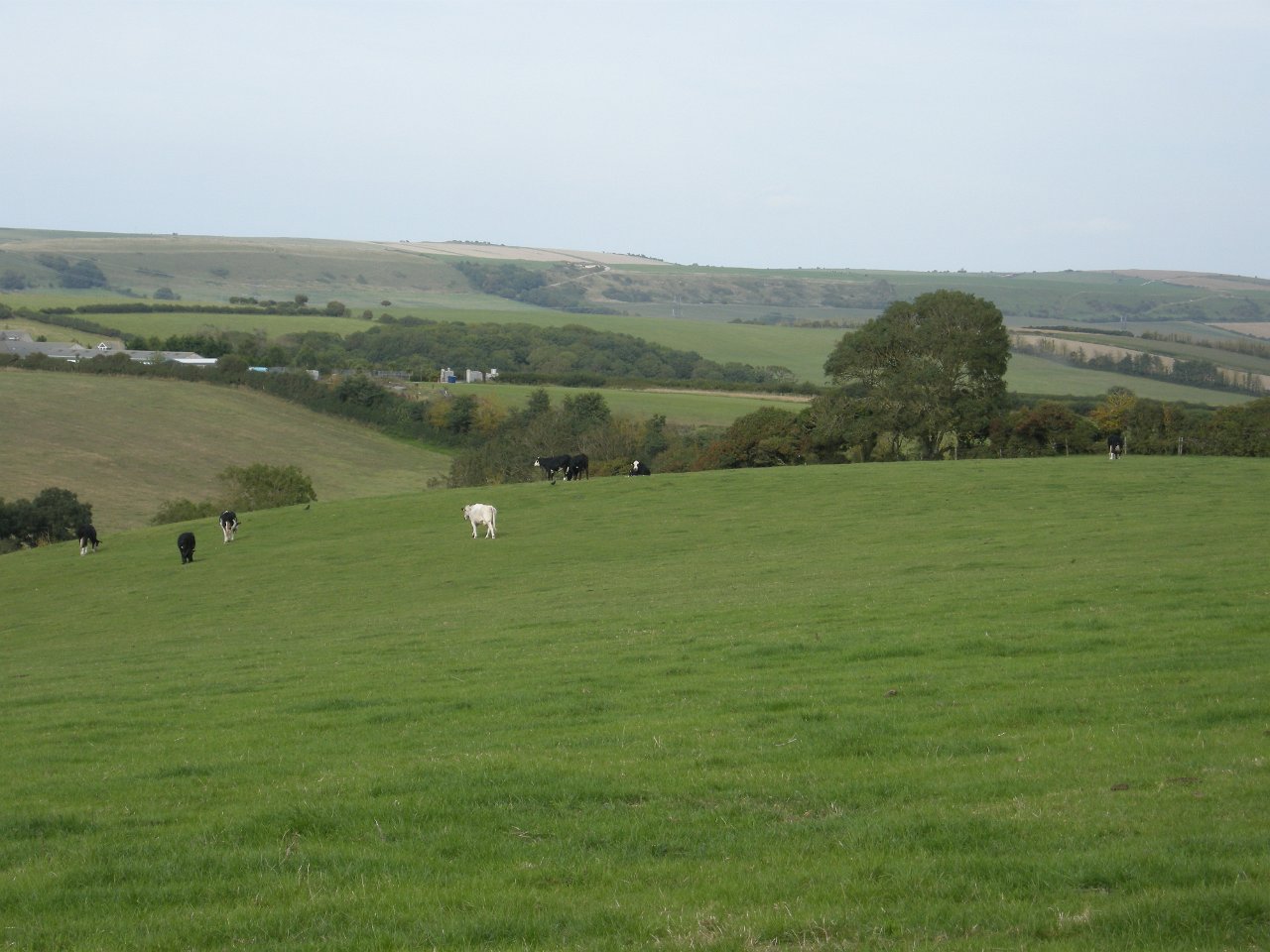 DSCN3402