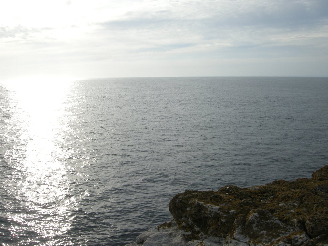 DSCN3425
