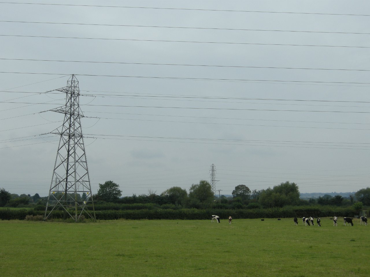 DSCN3468