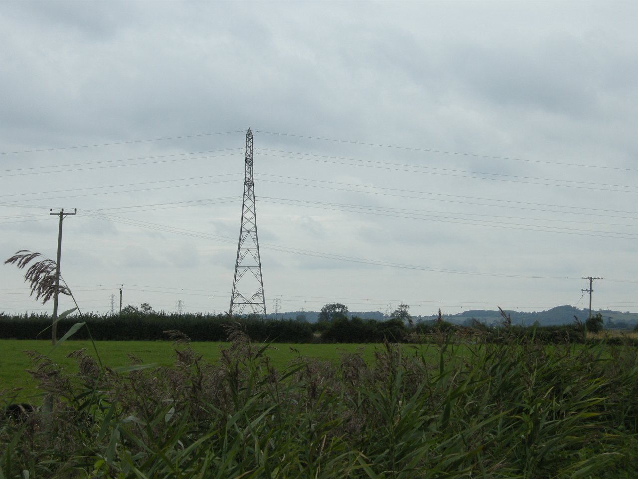 DSCN3472