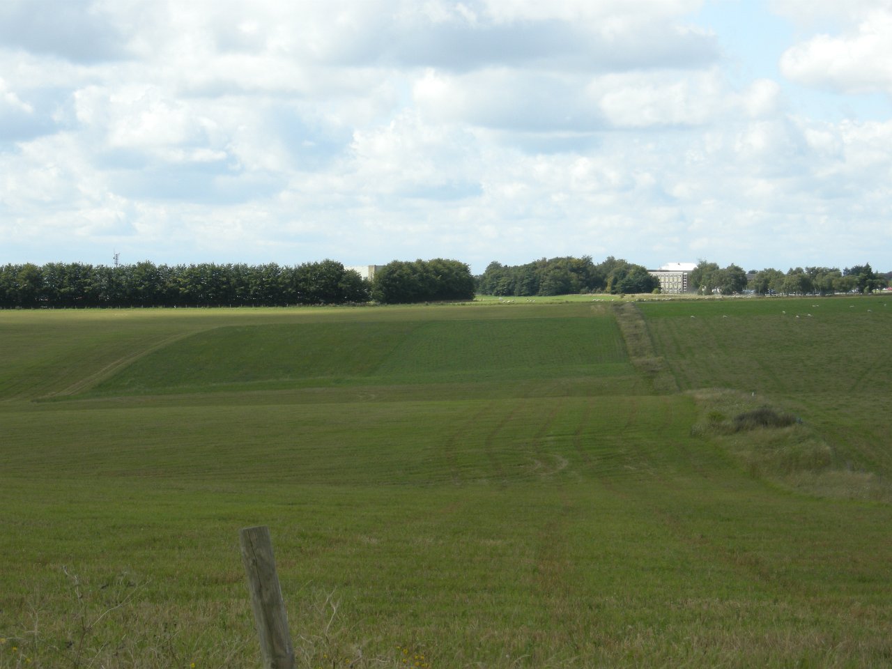 DSCN3589