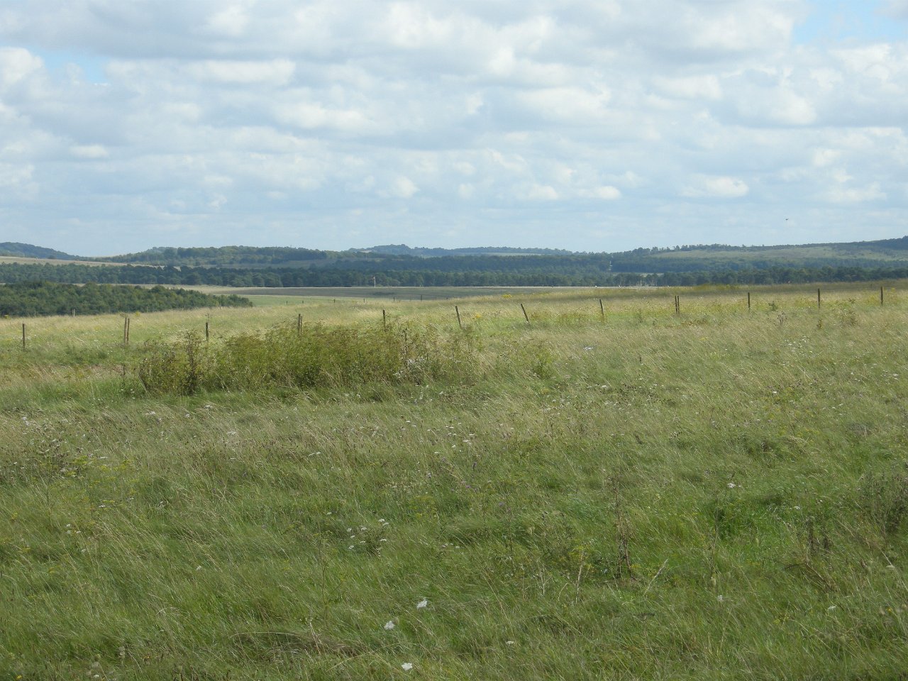 DSCN3611