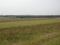 DSCN2473