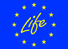 Life Logo