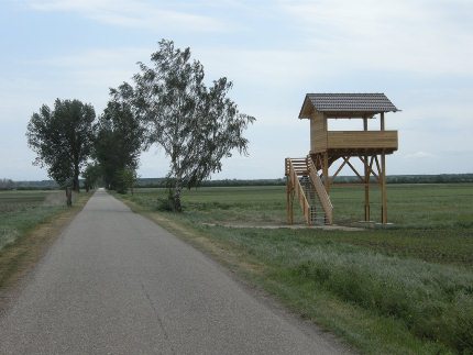 Bird observation tower "LIFE+ Great Bustard Andau"